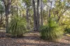 101 Glover Road, Yallingup Siding, WA 6282-Image