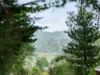 101 James  Road, Acacia Hills, Tas 7306-Image