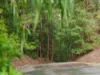 101 James  Road, Acacia Hills, Tas 7306-Image
