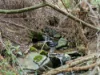 101 James  Road, Acacia Hills, Tas 7306-Image