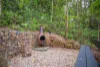 101 Licuala Dr, Tamborine Mountain, Qld 4272-Image