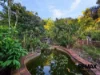 101 Machan Street, Machans Beach, Qld 4878-Image