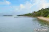 101 Main Street, Manning Point, NSW 2430-Image