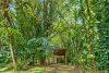 101 Midgenoo Feluga Road, Feluga, Qld 4854-Image
