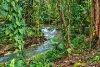 101 Midgenoo Feluga Road, Feluga, Qld 4854-Image