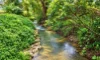 101 Midgenoo Feluga Road, Feluga, Qld 4854-Image
