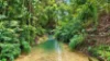 101 Midgenoo Feluga Road, Feluga, Qld 4854-Image