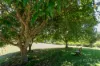 101 Sister Tree Creek Road, Kin Kin, Qld 4571-Image