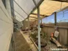 101 The Esplanade, Thompson Beach, SA 5501-Image