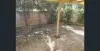101 Whitelaw avenue, Delacombe, Vic 3356-Image