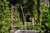 1011A Kangaroo Valley Road, Bellawongarah, NSW 2535-Image