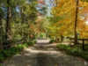 1011A Kangaroo Valley Road, Bellawongarah, NSW 2535-Image