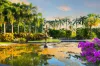 1015 Mcmillans Road, Knuckey Lagoon, NT 0828-Image