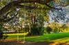 1015 Mcmillans Road, Knuckey Lagoon, NT 0828-Image