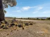 10151 Highland Lakes Road, Brandum, Tas 7304-Image