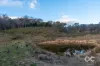 1017 Gowan Road, Lewis Ponds, NSW 2800-Image