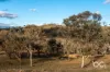 1017 Gowan Road, Lewis Ponds, NSW 2800-Image