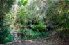 102 Ariadne Street, River Heads, Qld 4655-Image