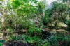 102 Ariadne Street, River Heads, Qld 4655-Image