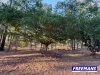 102 Barrons Road, Kingaroy, Qld 4610-Image