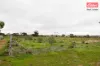 102 Bates Street, Merredin, WA 6415-Image