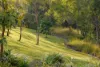 102 Bloomfield Esplanade, South Maclean, Qld 4280-Image