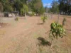 102 Cliff Jones Road, Curra, Qld 4570-Image