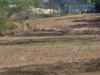 102 Cliff Jones Road, Curra, Qld 4570-Image