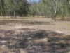 102 Cliff Jones Road, Curra, Qld 4570-Image