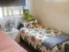 102 Cliff Jones Road, Curra, Qld 4570-Image