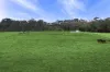 102 Merri View Road, Woodford, Vic 3281-Image