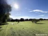 102 Old Monteagle Road, Young, NSW 2594-Image