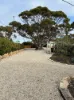 102 Selth Road, Cadell, SA 5321-Image