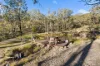 102 Sherwood Place, Royalla, NSW 2620-Image