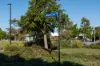 102 Steiner Crescent, Baringa, Qld 4551-Image