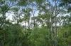 102 Thomson Valley Road, Valdora, Qld 4561-Image