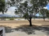 102 Wharf Street, Depot Hill, Qld 4700-Image