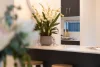102 Willard Street, Carina Heights, Qld 4152-Image