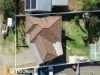 1023 Armidale Road, Nemingha, NSW 2340-Image