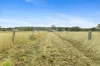 1027 Kerry Road, Kerry, Qld 4285-Image