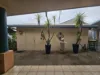 103 Airdmillan Road, Ayr, Qld 4807-Image