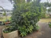 103 Airdmillan Road, Ayr, Qld 4807-Image
