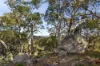 103 Bald Hill Road, Kyneton, Vic 3444-Image