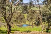 103 Captains Hill Road, Wallaroo, NSW 2618-Image