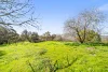 103 Captains Hill Road, Wallaroo, NSW 2618-Image