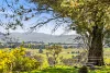 103 Captains Hill Road, Wallaroo, NSW 2618-Image