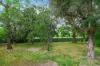 103 Cowper Street, Wallsend, NSW 2287-Image