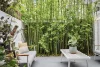103 Greens Road, Paddington, NSW 2021-Image