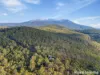 103 Hall Street, Ridgeway, Tas 7054-Image