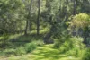 103 Hardys Road, Mudgeeraba, Qld 4213-Image